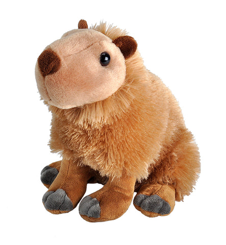 Kapivar Bamse