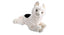 Lama bamse