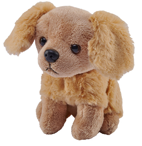 Mini Labrador Bamse