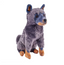 Australsk Cattle hund