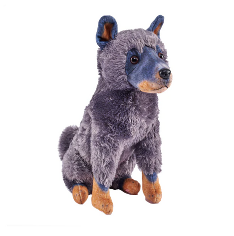 Australsk Cattle hund