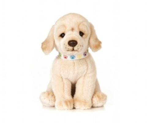 Labrador bamse