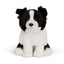 Border Collie bamse
