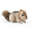 Jordegern bamse
