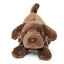 Labrador retriever bamse