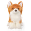 Chihuahua bamse