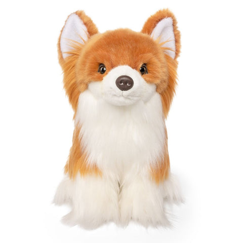 Chihuahua bamse