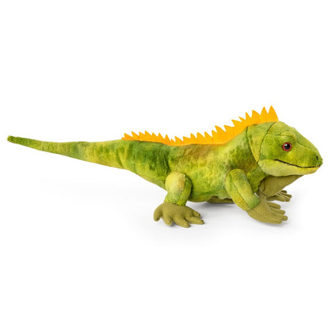 Leguan Bamse