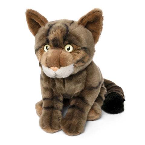 Skotsk vildkat Bamse