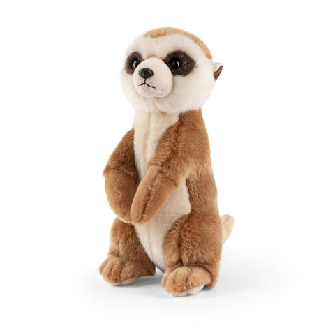Surikat bamse