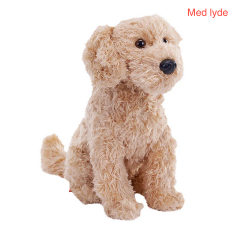 Cockapoo hund bamse