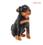 Rottweiler hund med lyd