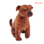 Staffordshire Bull Terrier bamse