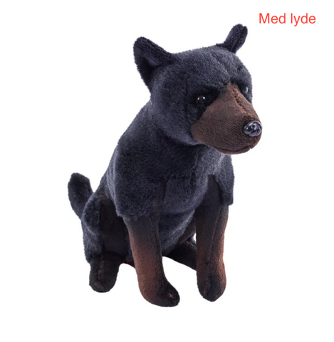 Lille Kelpie Hund