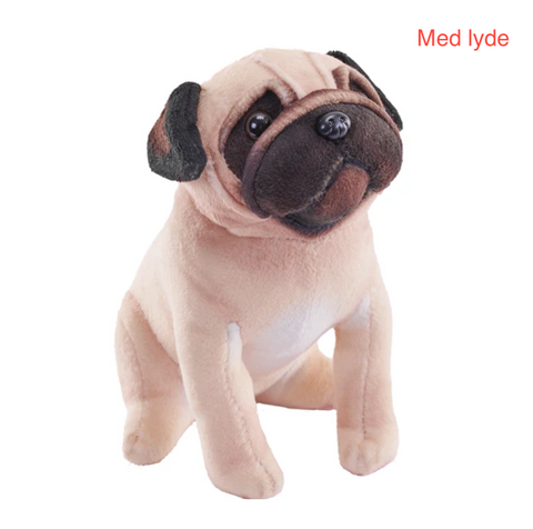 pug hund bamse