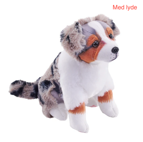Australian Shepherd bamse