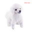 Puddel bamse
