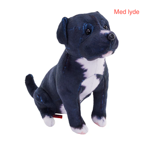 Pitbull Hund bamse