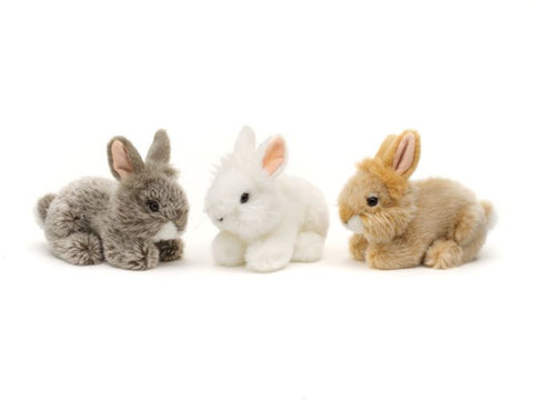Angora Kanin Bamse
