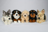 Uni-Toys Rottweiler Hund, liggende 30 cm (32235A), Eco-Friendly