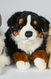 Berner Sennen bamse