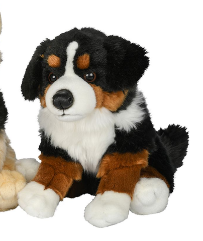 Berner Sennenhund bamse