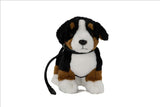 Berner Sennenhund bamse