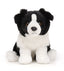 Border Collie Bamse