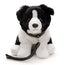 Border Collie Bamse