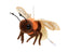 Ildflue bamse