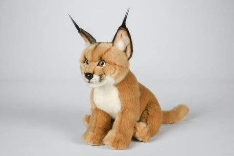 Karakal bamse