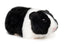 Uni-Toys marsvin