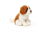 Uni-Toys Sanktbernhardshund bamse 25 cm, eco-friendly (B21724)
