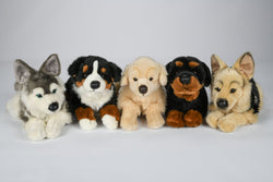 Uni-Toys Husky hund bamse, liggende 40 cm (22811A)