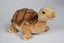 Skildpadde Bamse