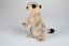Surikat bamse