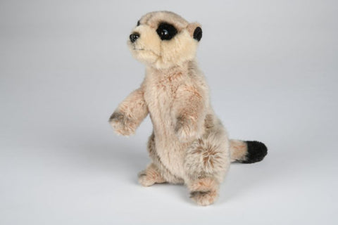 Surikat bamse