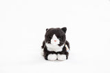 sort hvis kat bamse