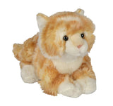 orange kat bamse