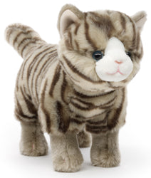Tabby Kat Bamse
