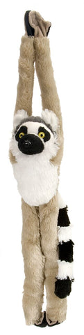 Kattalemur bamse