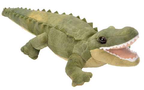 Alligator bamse