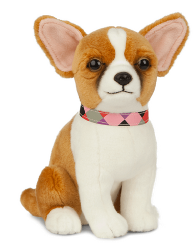 Chihuahua bamse