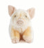 Gris bamse