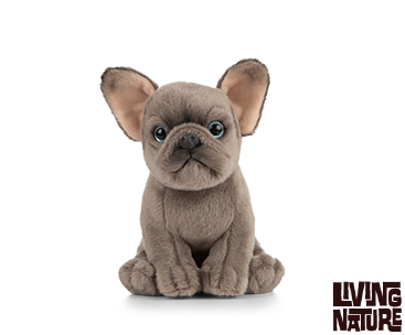 Fransk Bulldog bamse
