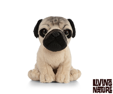 mops hund bamse