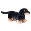 Dachshund Bamse