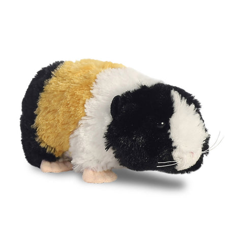 Marsvin bamse