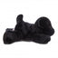 Sort Labrador Bamse