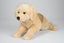 Uni-Toys Golden Retriever hundebamse, 62 cm (B22898)